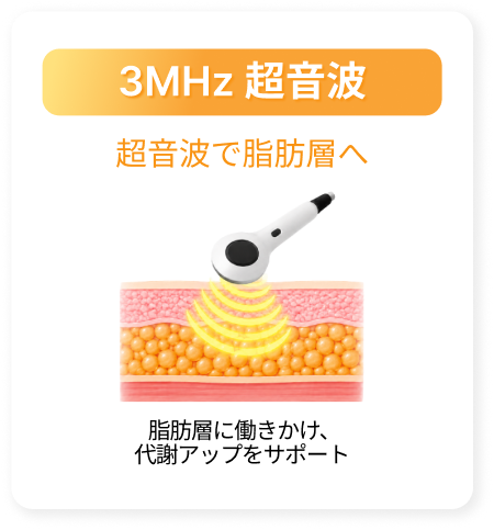 3MHz超音波